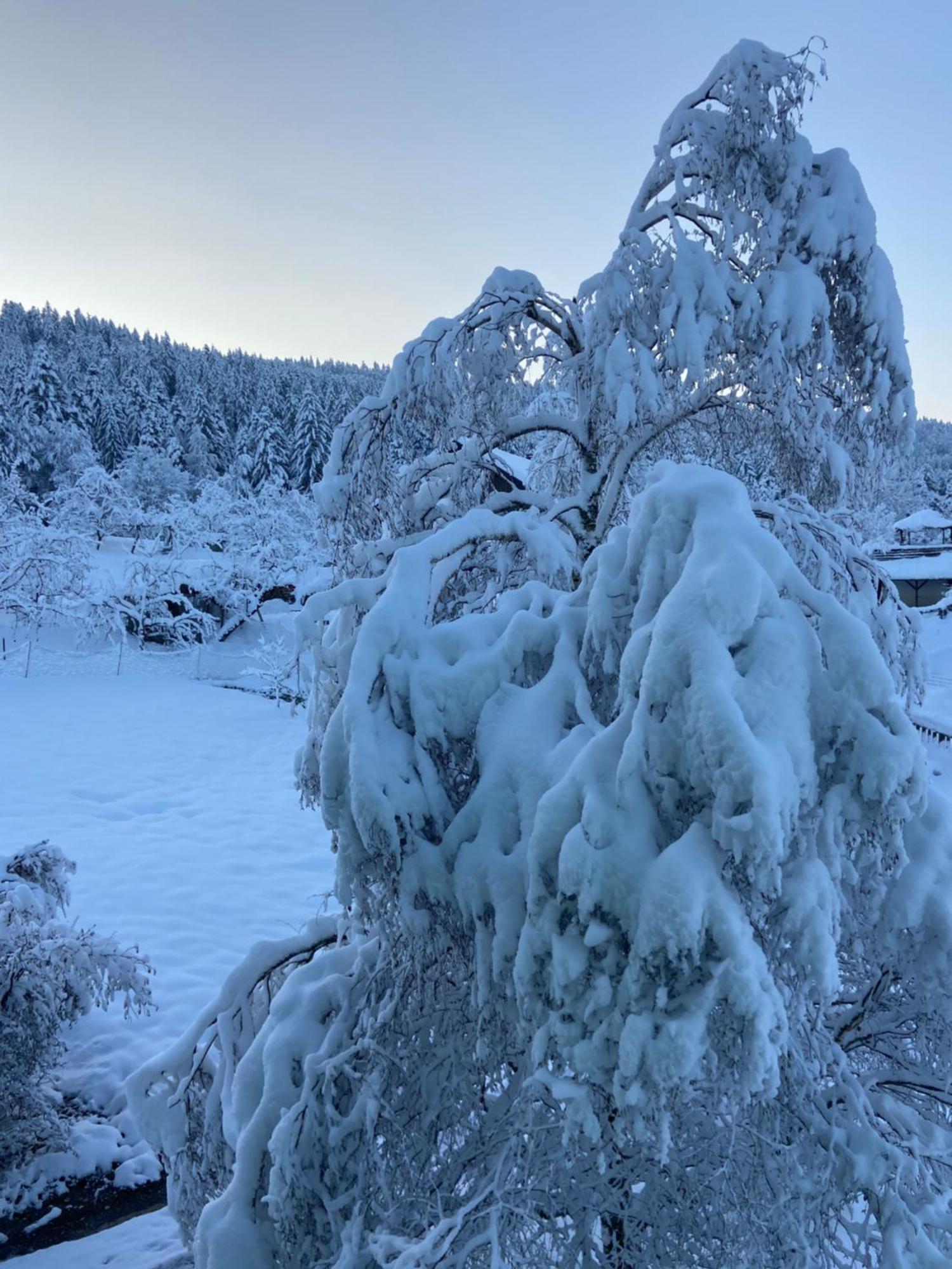 Allgaeu Cottage - Traumhafter Blick In Die Schweizer Berge Weiler-Simmerberg Eksteriør billede